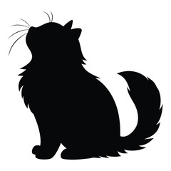 silhouette of a cute Ragdoll cat isolated on clean  white background