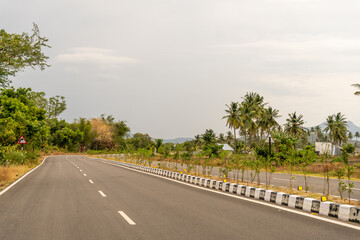 Fototapeta premium A road with a line of trees on the side
