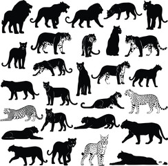 Big cat silhouettes, lion tiger leopard, cheetah wildlife, feline predator, jungle animal, vector illustration, nature art, wild habitat, fauna icon, safari design