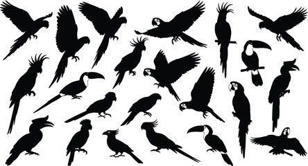 Parrot and toucan silhouettes, exotic bird poses, flying and perched, tropical wildlife, nature art, vector illustration, fauna design, jungle icon, avian species