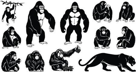 Primate and panther illustrations, monkey gorilla chimpanzee, wildlife art, jungle animals, nature vector, fauna design, animal poses, exotic species, wild habitat, predator icon
