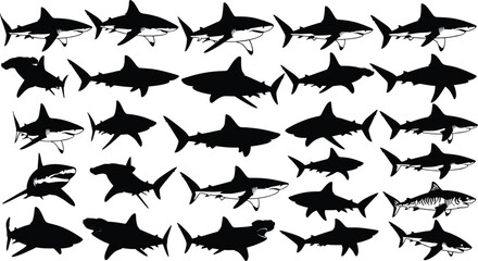 Shark silhouettes collection, swimming predator, ocean wildlife, marine animal, sea life, vector illustration, nature art, aquatic icon, underwater design, fish species