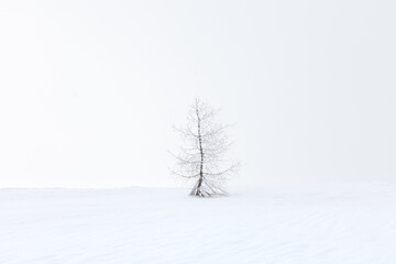 snowy landscape with a frozen tree