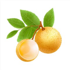 Longan Branch: A vibrant close-up depicts two longan fruits, one halved to reveal its succulent flesh, adorning a branch with lush green leaves.