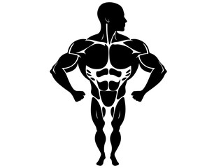 Silhouette icon of muscular system with simplified muscle groups, black on white