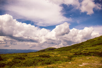 Sunny Carpathian hillside with dramatic cumulus clouds and wide sky above mountain meadow