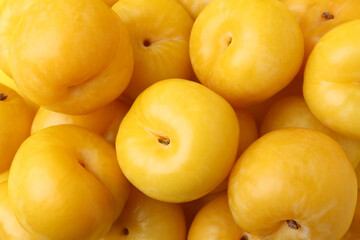 Many ripe yellow cherry plums as background, closeup