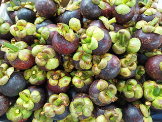 Fresh mangosteens with green calyxes and purple-brown rinds, piled high at a market.