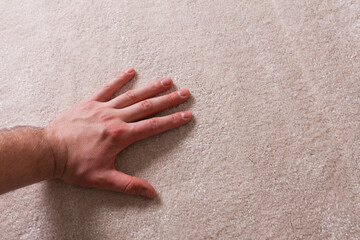 Hand touch Beautiful soft shaggy carpet rug