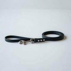 Black leather dog leash with silver clasp image