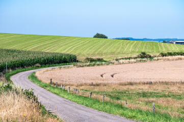 Green hills at the Wallon countryside around Libramont, Province de Luxembourg, Belgium