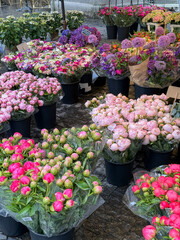 Many different fresh bouquets in black buckets being sold right on the street