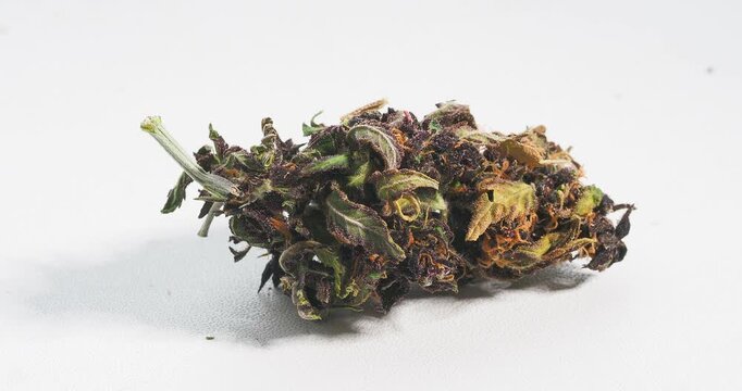 cannabis dry bud close up medical marijuana