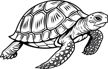 Turtle Art Design Collection. Sea Turtle Art Design Illustration. Cartoon Turtle Art Design Bundle. Green Turtle Art Design Pack. Ocean Turtle Art Design Set. Tropical Turtle Art Design Artwork