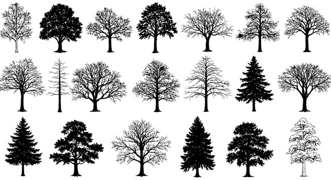 tree silhouettes diverse tree silhouettes showcasing varied shapes and forms in a stark monochrome palette ideal for nature studies or arboreal illustrations conveying serenity and botanical detail.