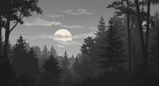 dark forest under moonlight a serene woodland landscape at night with silhouetted trees under a full moon ideal for nature posters mystical book covers and gothic art.
