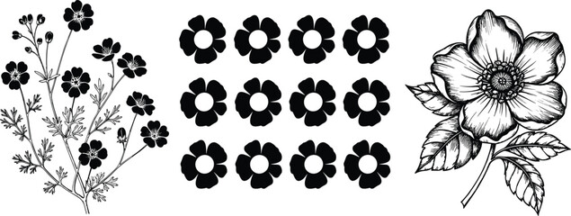 Botanical floral silhouette and vintage flower vector illustration for decorative design, pattern, nature art, tattoo, print, and craft purposes.