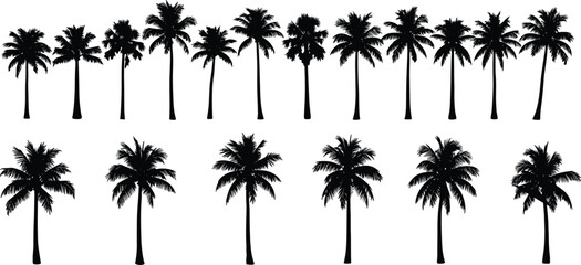 Fototapeta premium Palm Tree Silhouette Vector Set Featuring Tropical Island Trees for Summer, Jungle, Beach Landscape, Paradise Design, and Exotic Illustration