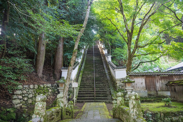 Naklejka premium 滋賀大津 西教寺 真盛上人廟への石段