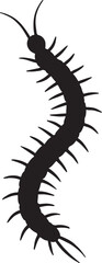 Centipede silhouette vector illustration perfect for insect, arthropod, biology, and nature design themes.