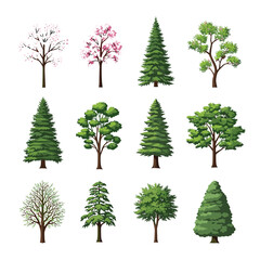 A collection of twelve beautifully illustrated diverse trees showcasing various species and leaf types in different seasons