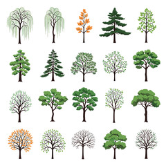 Fototapeta premium A diverse collection of trees showcasing various species and seasonal transformations throughout the year