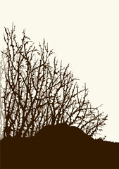 Vector drawing. The thorn bushes