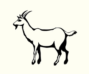Big white goat. Vector animal