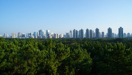 Fototapeta premium Serene City Skyline Viewed Through Lush Green Pine Forest: Tranquil Urban Landscape Photography