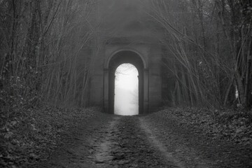 Fototapeta premium Eerie tunnel entrance bathed in bright mysterious light amidst dark forest