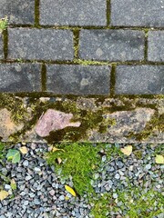 Textured cobblestone pavement with natural stones for versatile background 