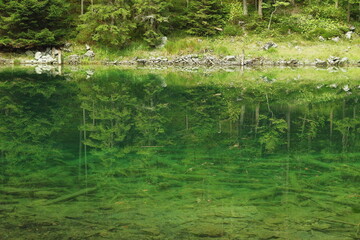 Reflection of green forest trees in calm emerald lake water, natural background with clear underwater view.