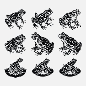 Northern Leopard Frog Vector Art, ideal for wildlife enthusiasts, nature projects, and amphibian-themed artwork.