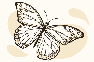 Bold and Colorful Vector Illustration of a Butterfly with Detailed Wings