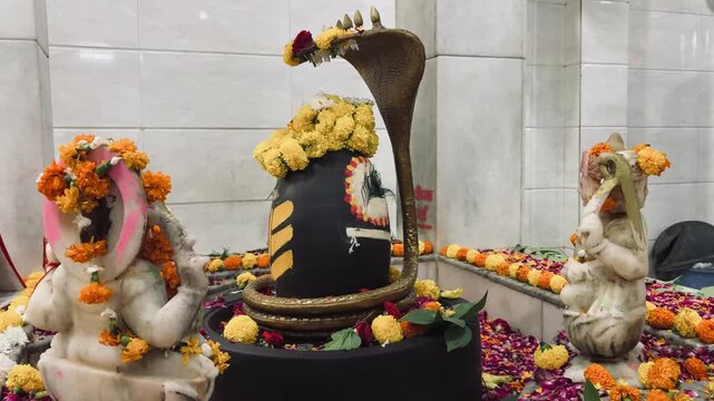 Shivalinga statue of black stone with naag and golden pot flowers in temple 