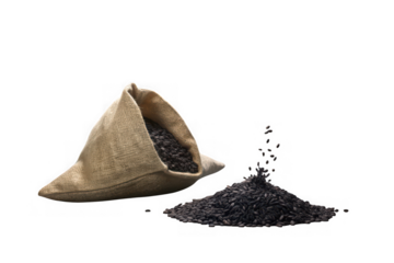 Natural seashell with a pile of black sand on a dark background