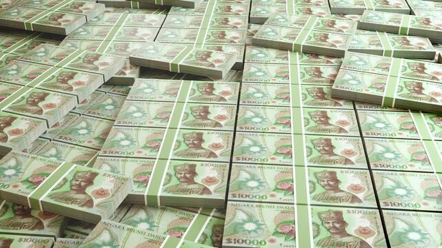Brunei 10,000 Dollar Banknote Horizontal 3D Animation - Money and Currency Concept