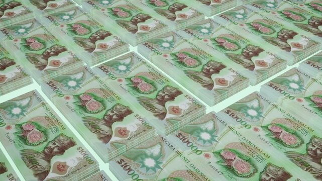 Brunei 10,000 Dollar Banknote Horizontal 3D Animation - Alternative Financial Scene