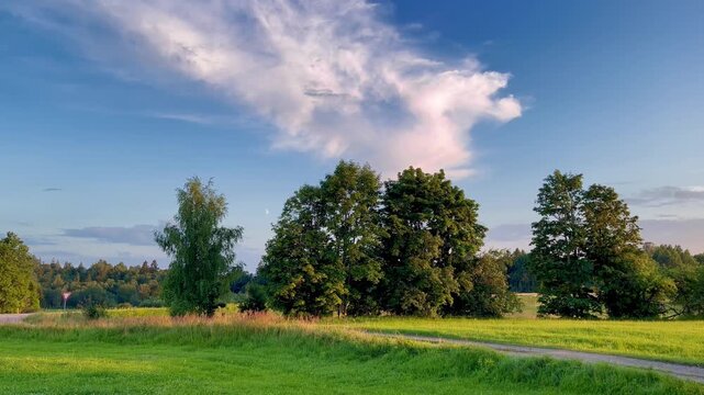Natural countryside view with passing car and expressive clouds above trees in Talsi area