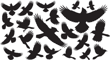 flying jay silhouettes, blue jay in flight vector, bird silhouettes pack, jays flying design, black bird vector set, Silhouette of birds in flight against a white background