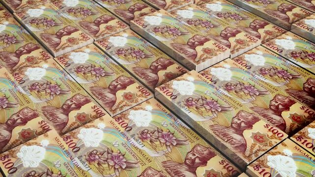 Brunei 100 Dollar Banknote Horizontal 3D Animation - Alternative Money Scene