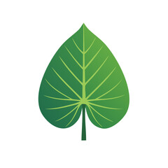 Taro Leaf Illustration Tropical Foliage Green Leaves Nature Plant Elements