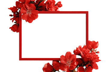 Obraz premium Photo frame border isolated on white