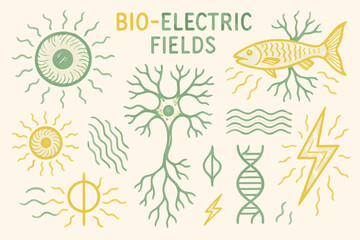 Fototapeta premium Bio-Electric Fields: Science, Nature, and Energy Elements