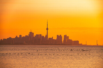 Toronto skyline in the morning. Silhouette figure of a man enjoying the Toronto sunrise