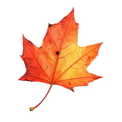 Obraz premium A leaf of a tree is shown in full color