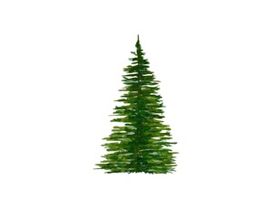 Isolated watercolor green Christmas tree hand drawn White background