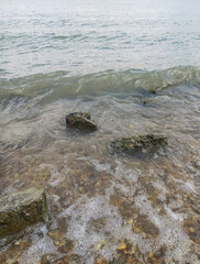 Foamy Shoreline with Rolling Wave