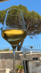 Chilled white wine in glass against blue sky and tree backdrop, concept of relaxation for wineries, restaurants, event planners