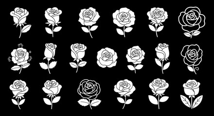 Elegant White Rose Icons Collection on Black Background for Floral Design and Romantic Illustrations